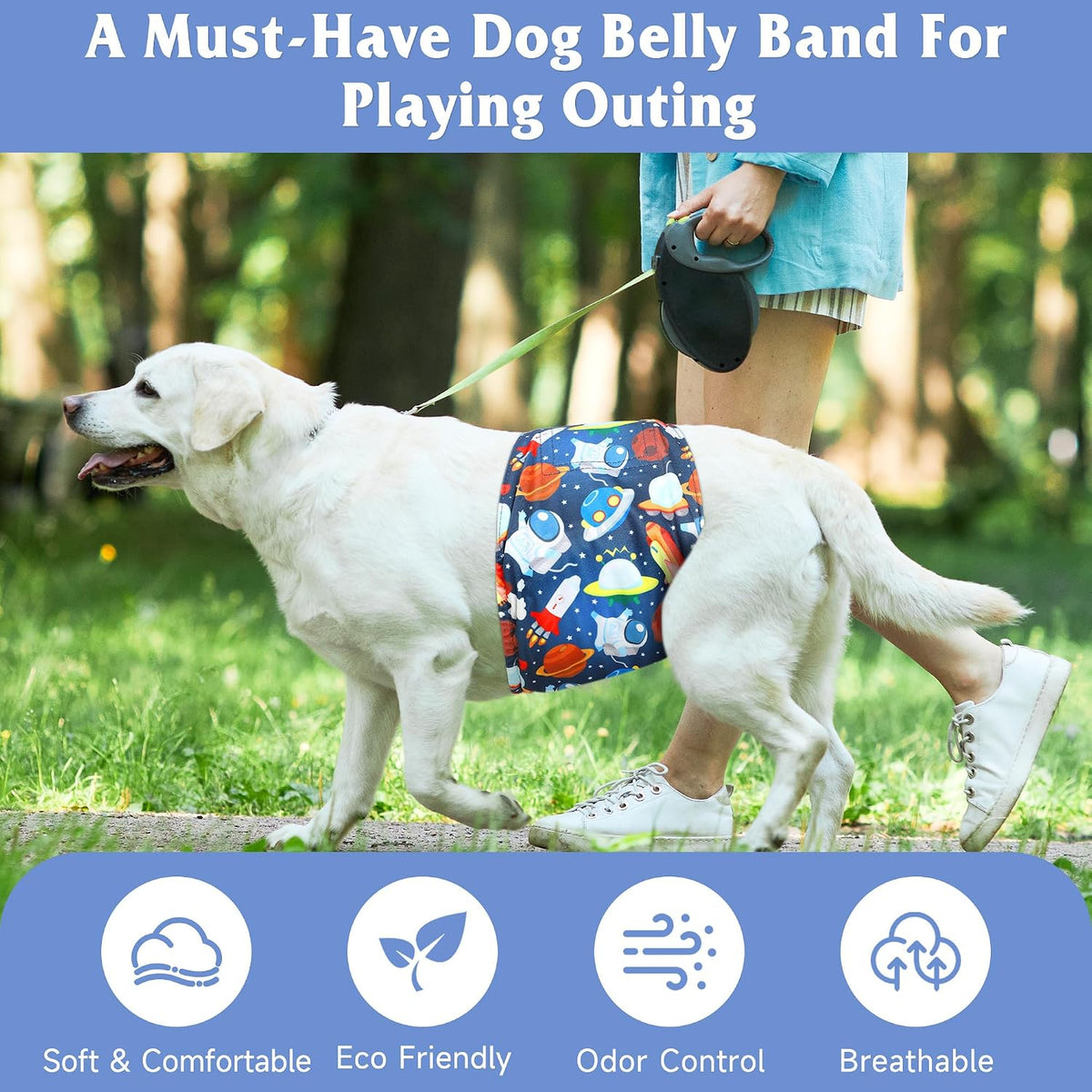 Male Dog Diapers - High Absorbency Belly Bands for Extra Small Dogs & Puppies, Ideal for Incontinence, Excitable Urination, and Training (XXL)